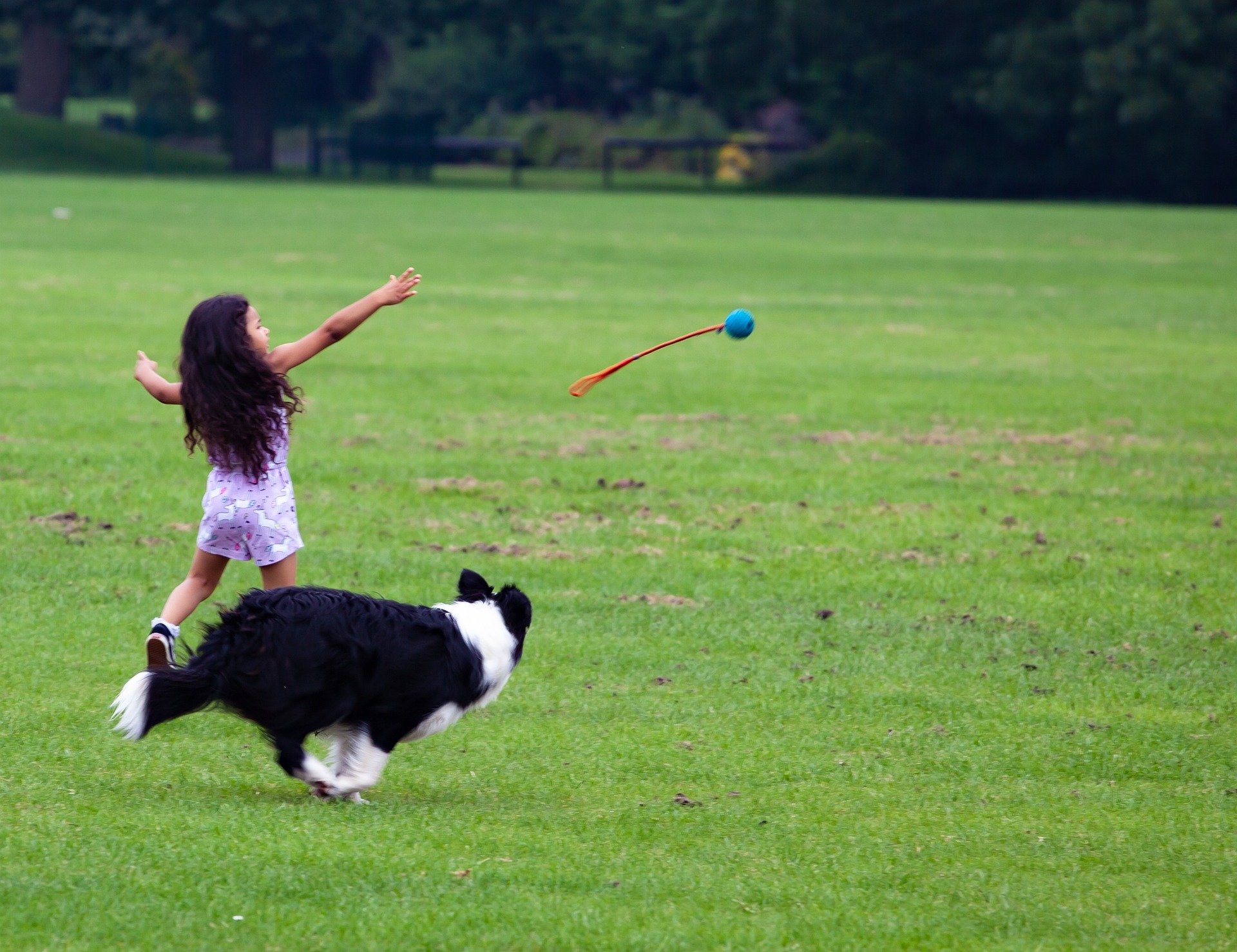 Girl playing fetch with her dog in a clean backyard
